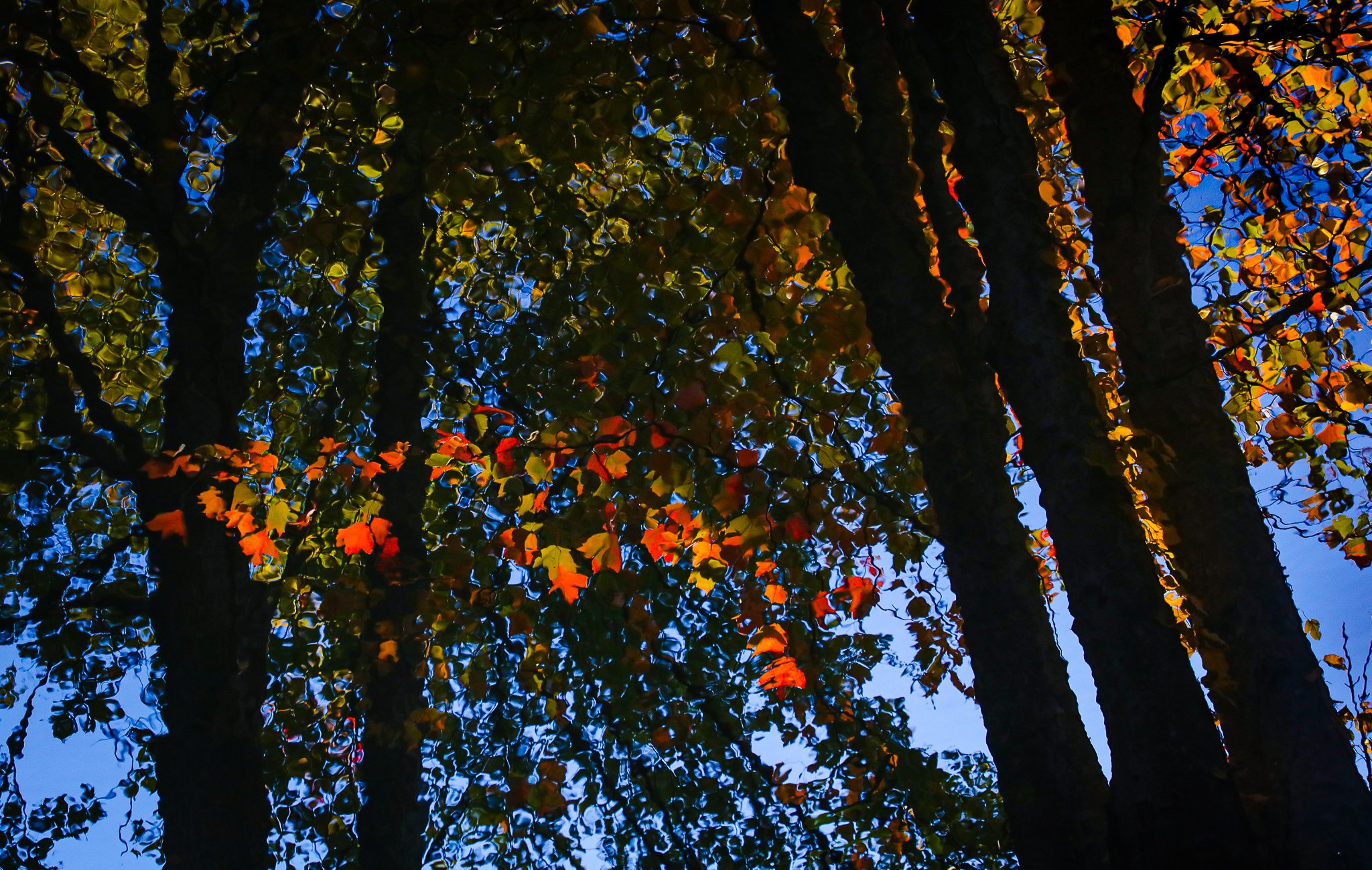 Enchantment