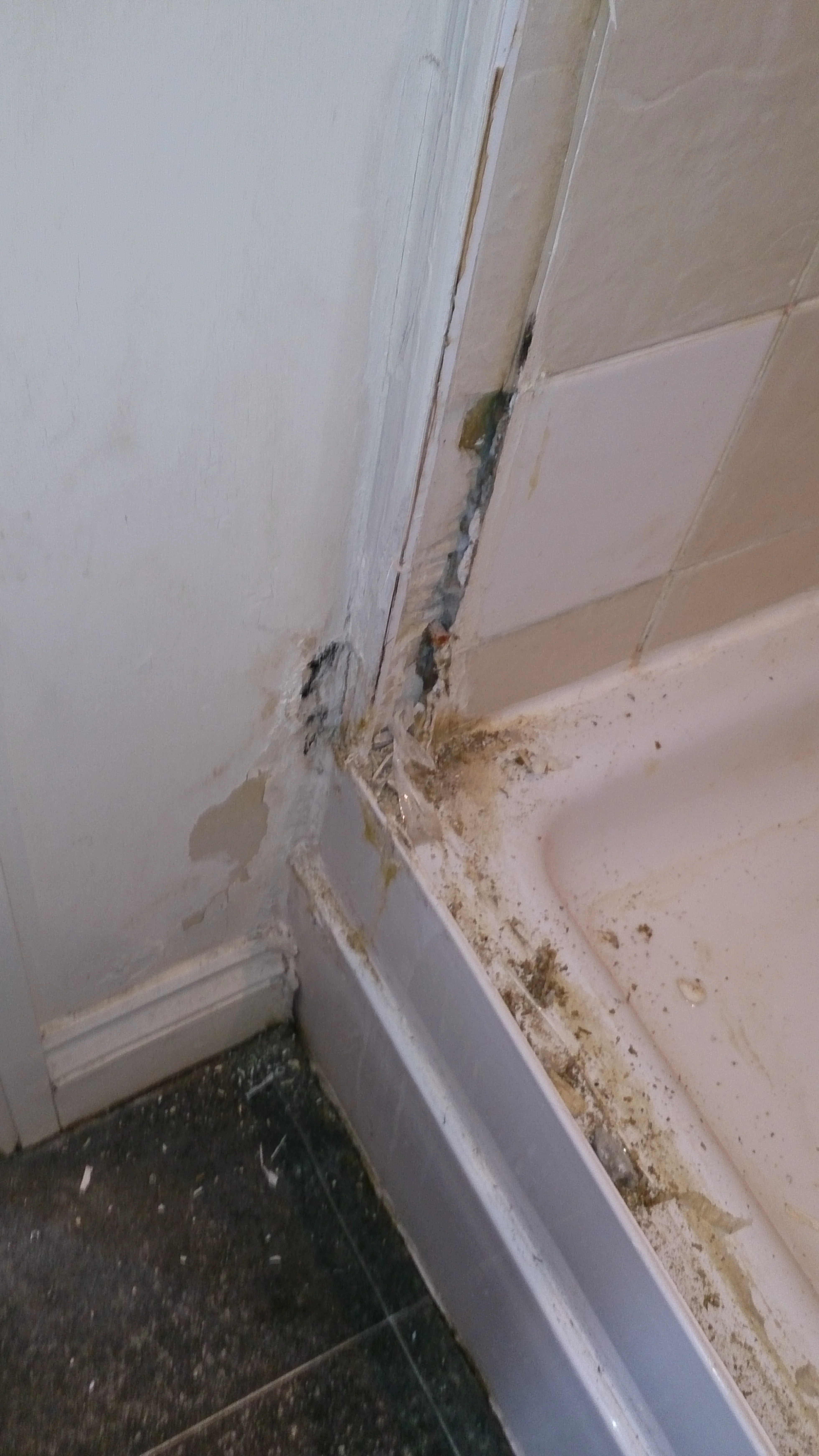 Two Bromley Flats Shower Refurbishments