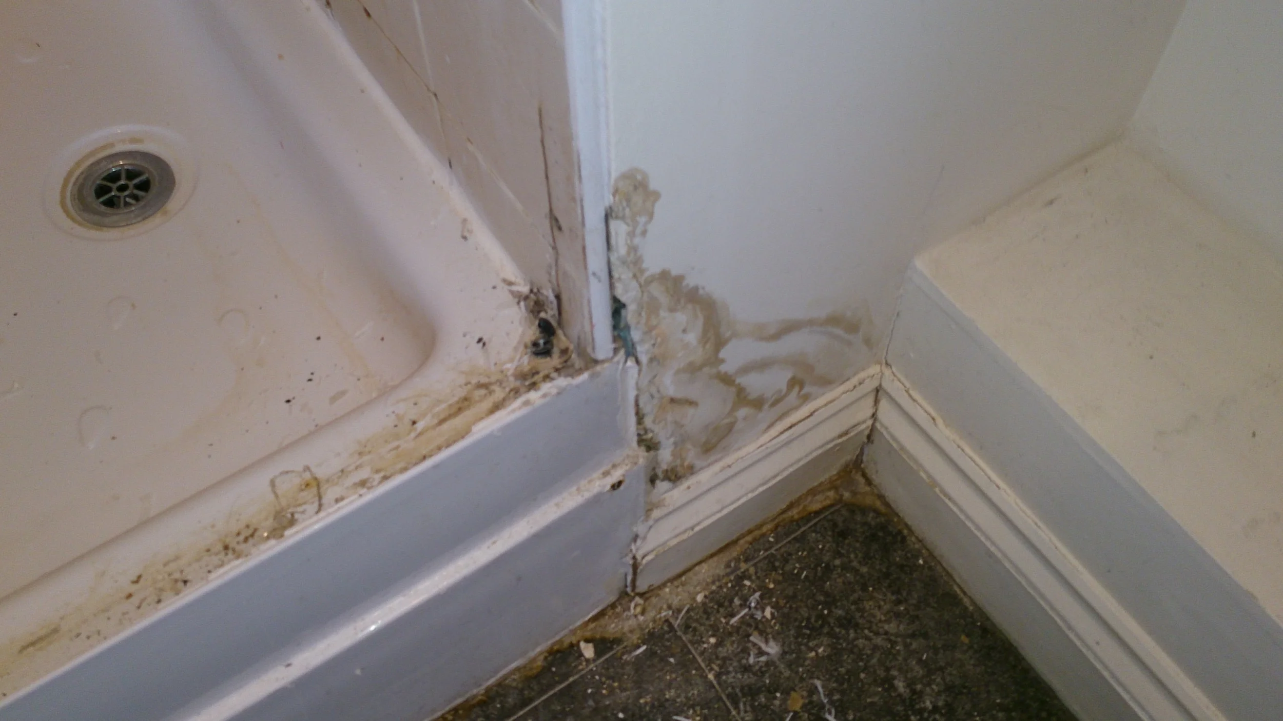 Two Bromley Flats Shower Refurbishments