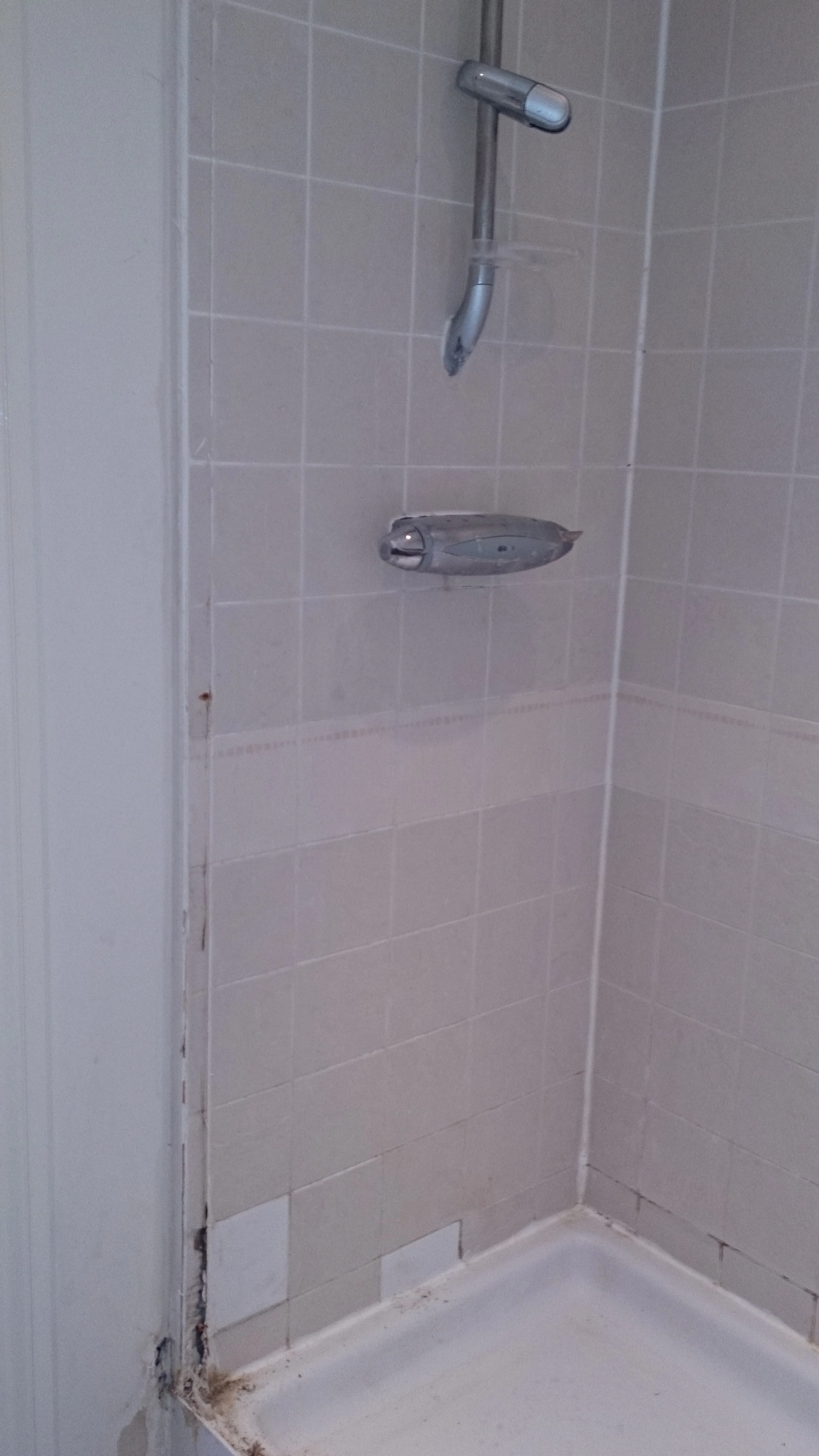 Two Bromley Flats Shower Refurbishments