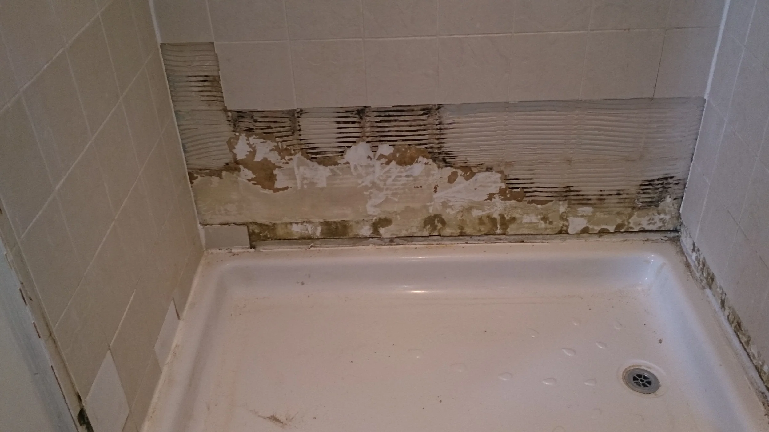 Two Bromley Flats Shower Refurbishments