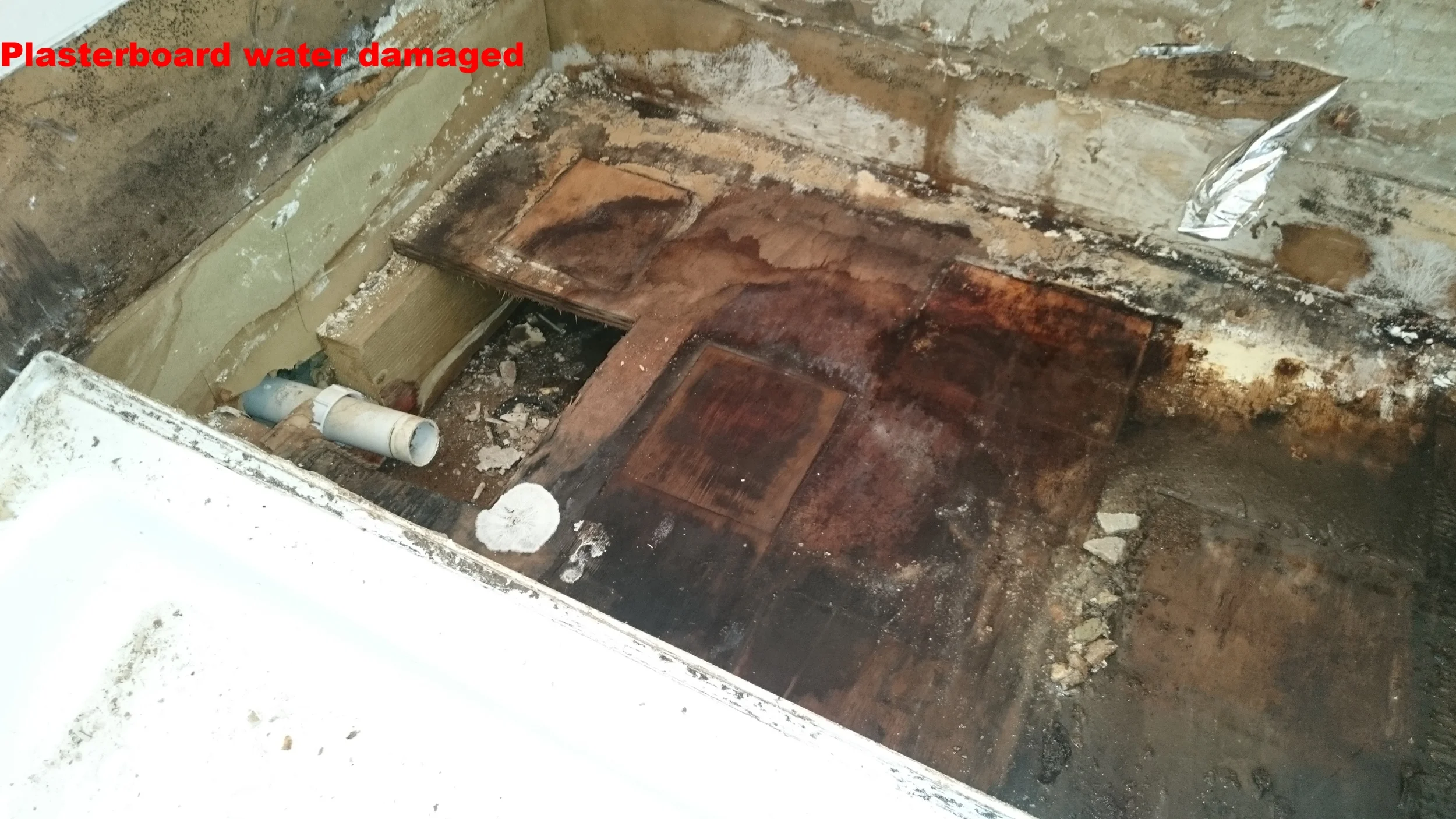 2015-10-12 10.52.53.jpg