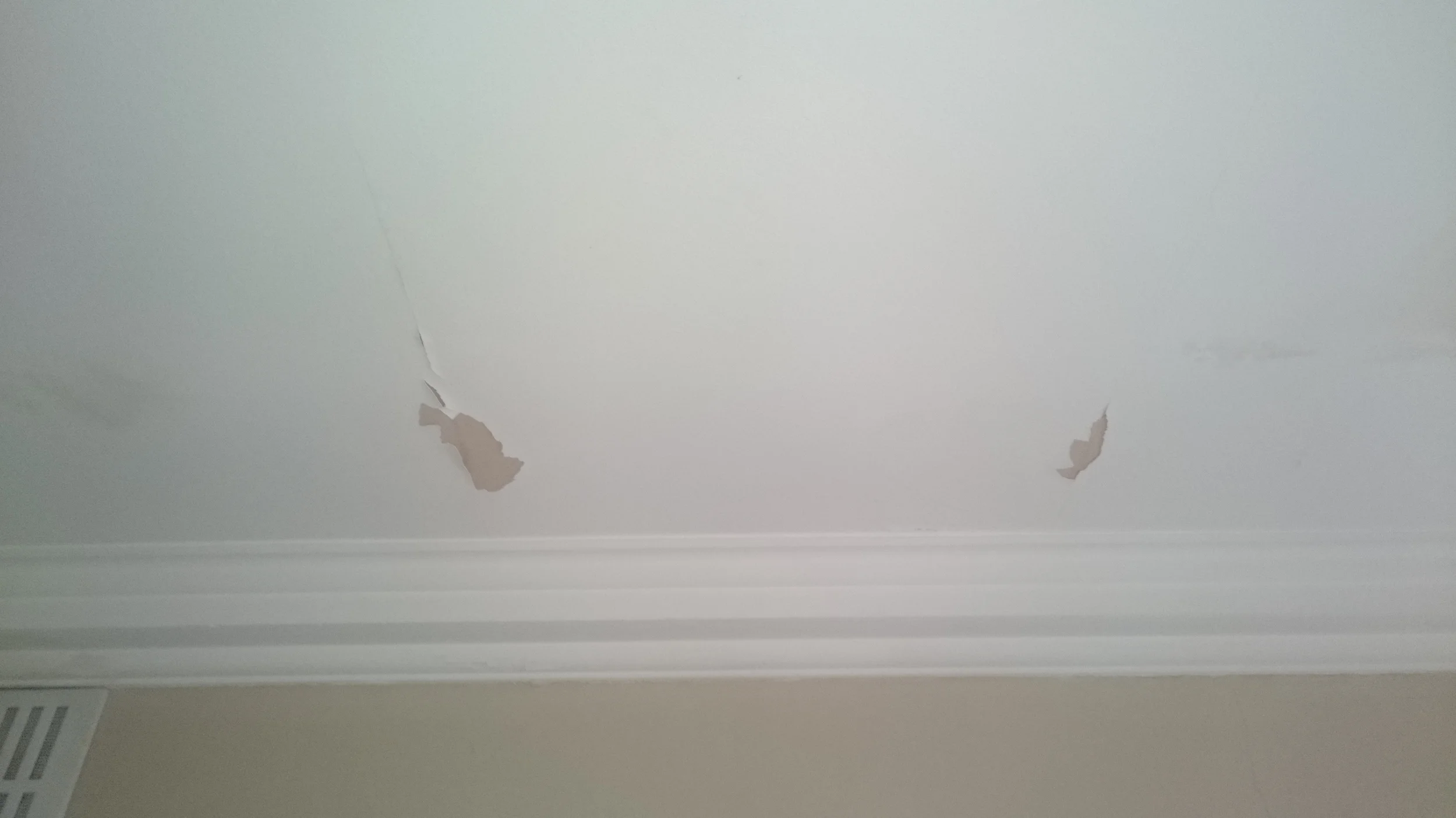 2016-02-02 10.11.00.jpg