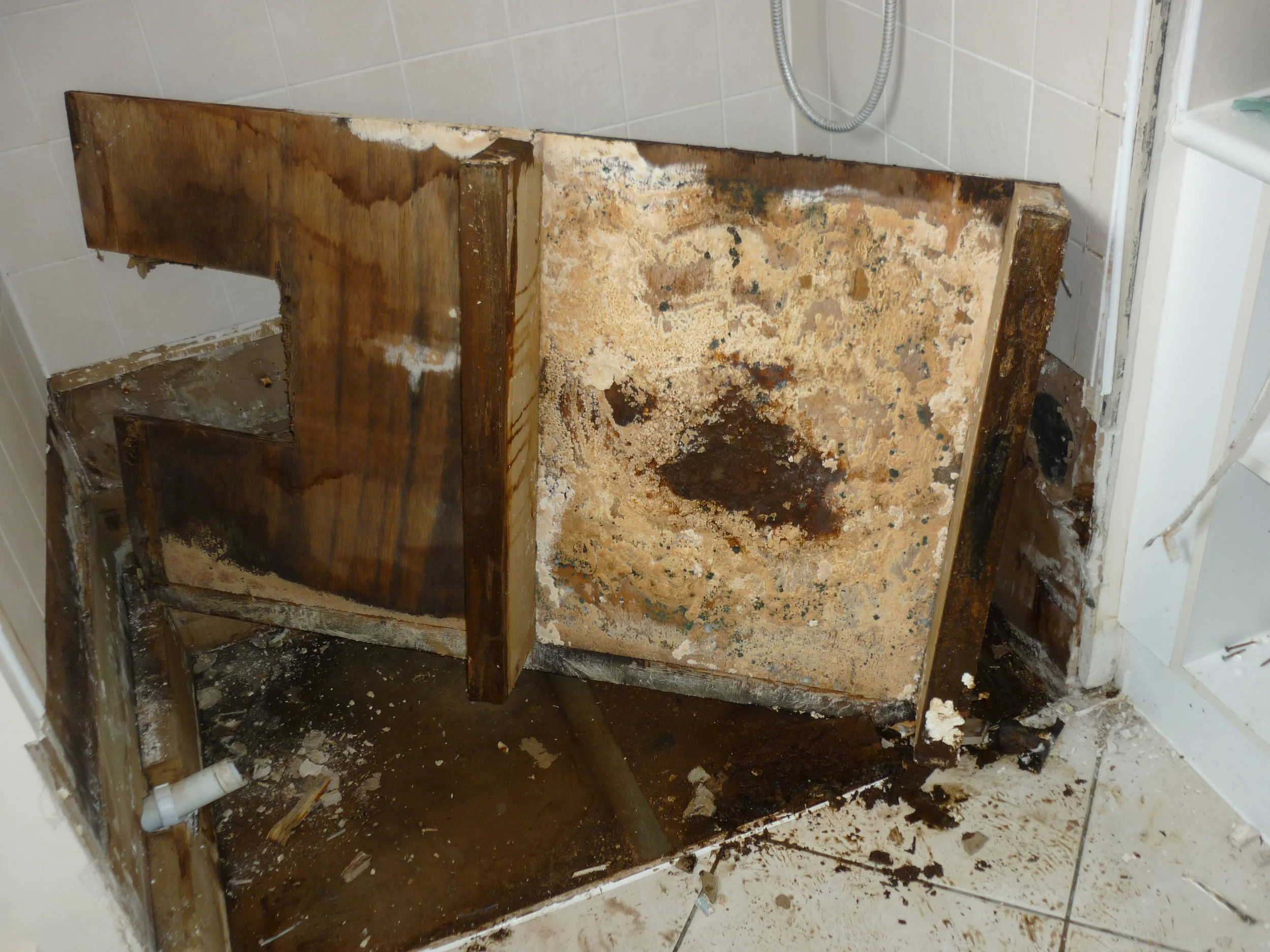 Two Bromley Flats Shower Refurbishments