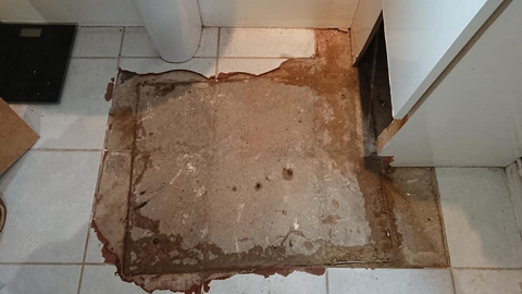 Croydon Bathroom Extension