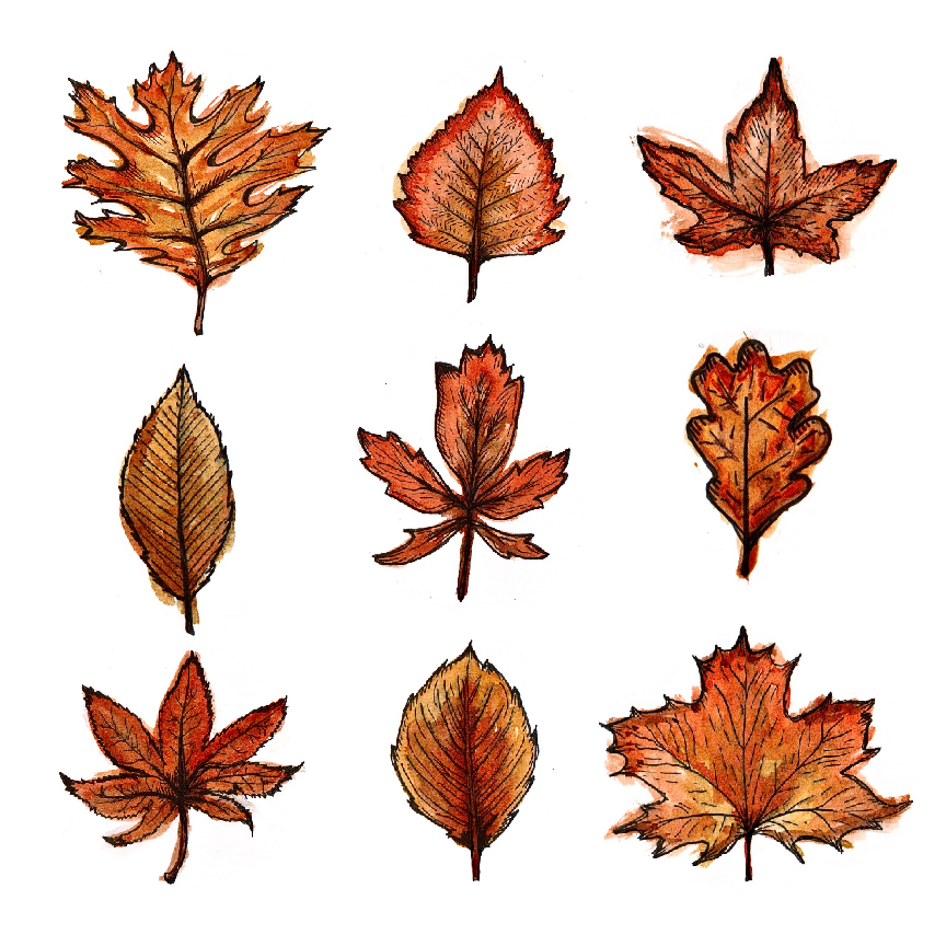 leaves!-01.jpg