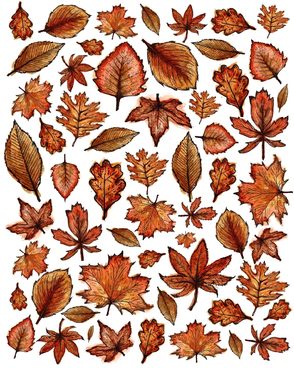 format_leaves-01.jpg