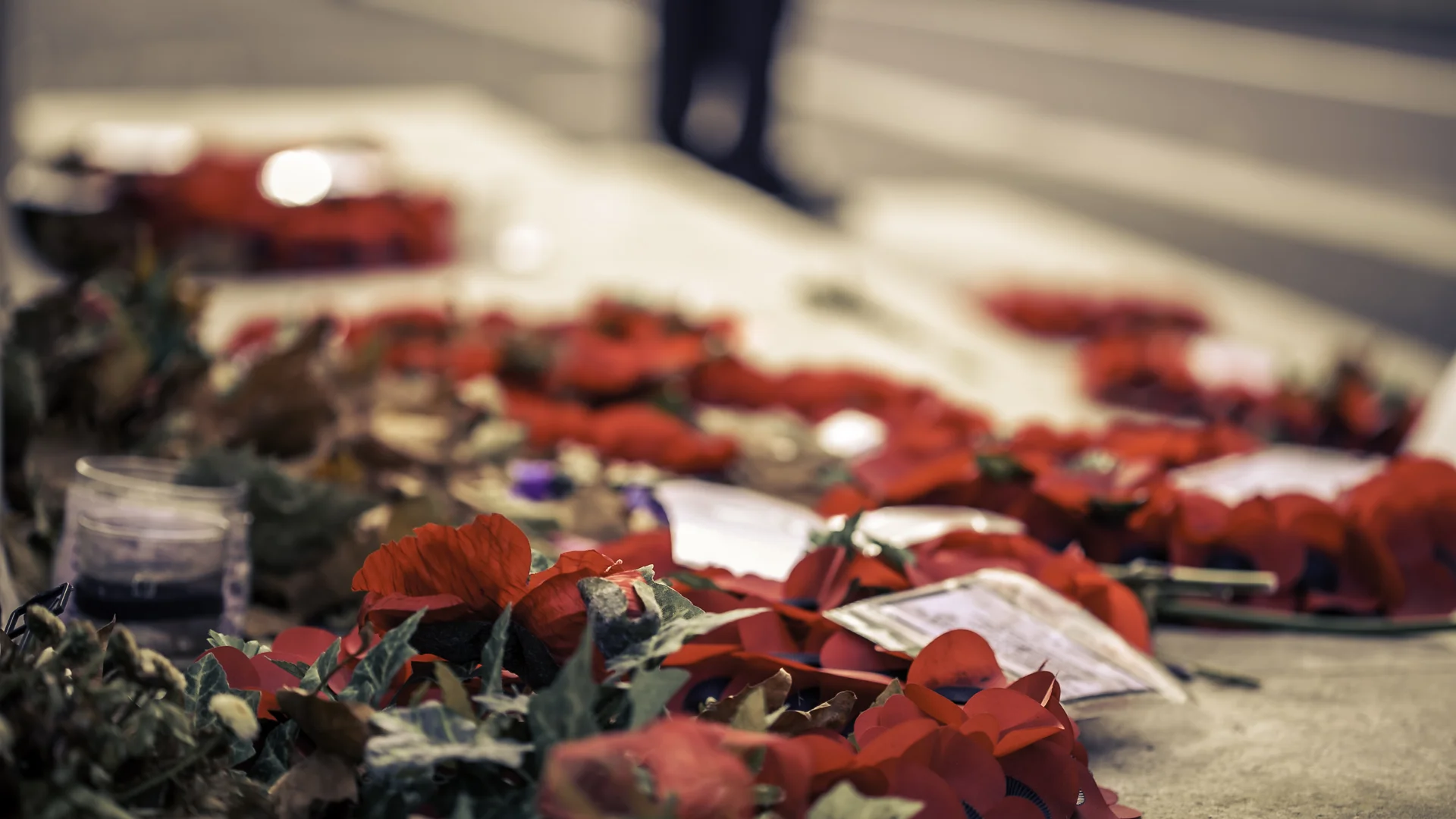 We Will Remember Them: A Timelapse at the Cenotaph
