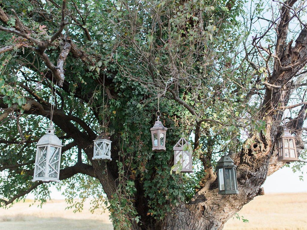 These lanterns were the perfect touch of rustic elegance and simplicity 