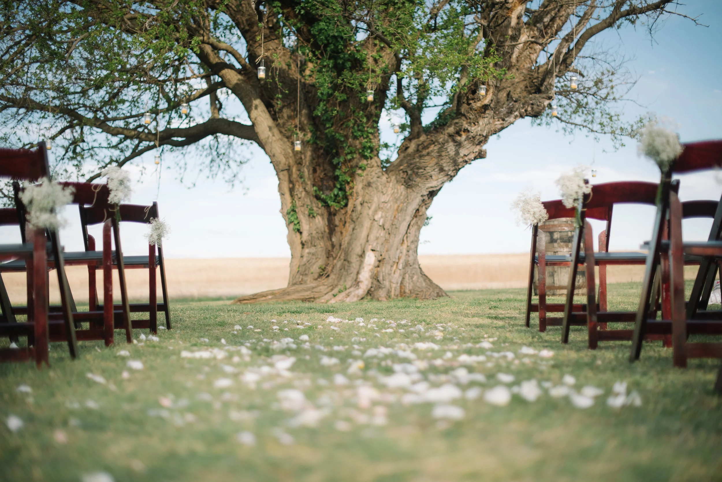 Lucy and Dillon described their ceremony as a magical experience, 