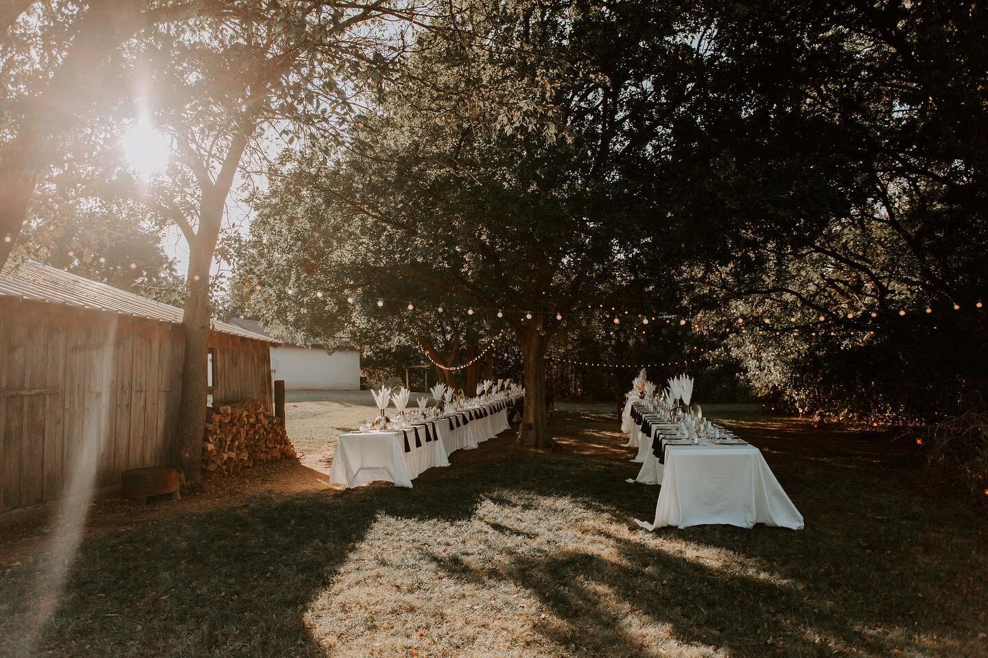 Did you know you can choose from our many options for where you want your event at our venue?😍 ⁣
⁣
 One of our favorite reception areas is under the trees! We loved how whimsical and elegant this reception looked.💕 ⁣
⁣
Photography: A.W. Photography
