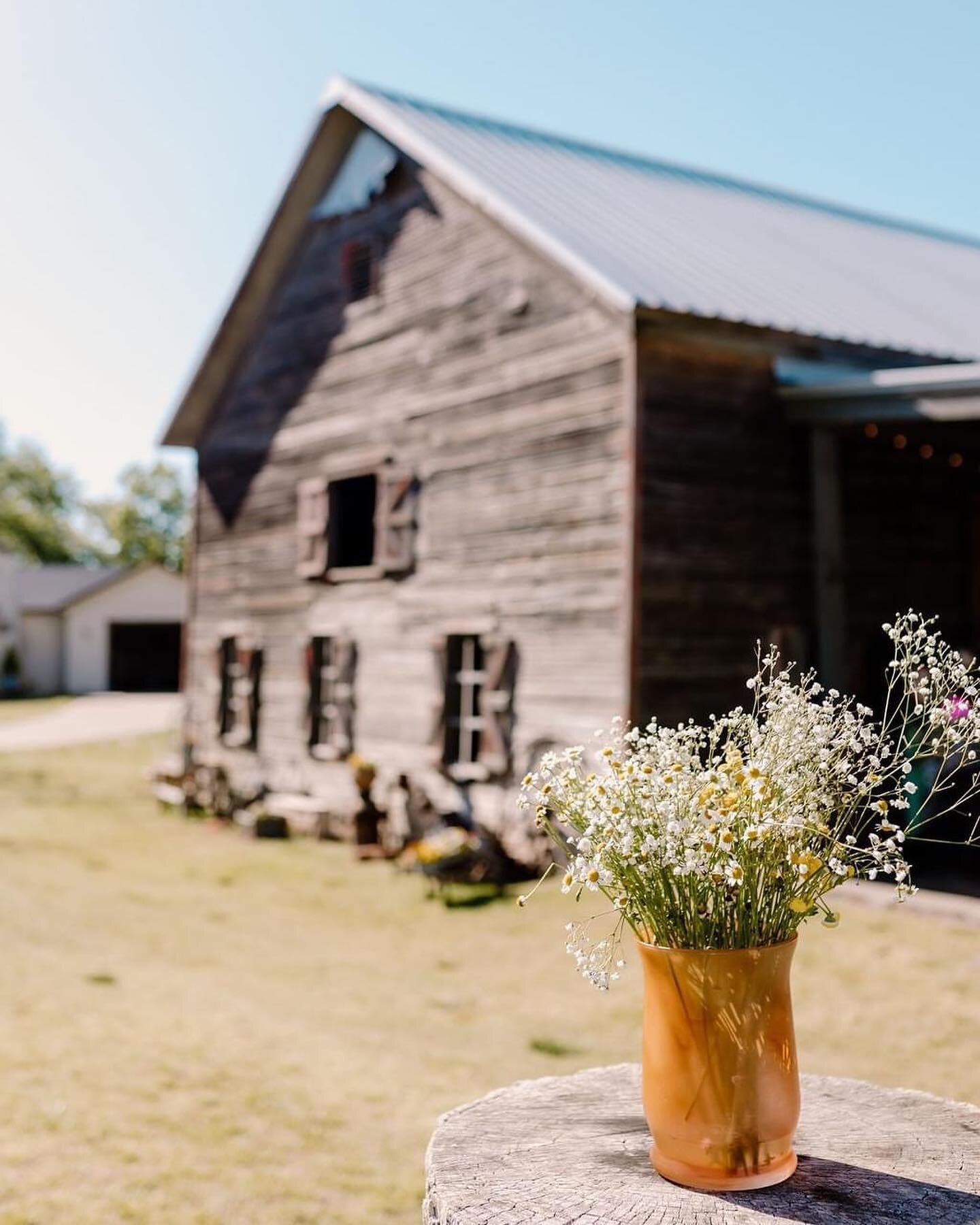 Did you know? When you book your event at the Barn at the Woods, you have access to our entire 14 acre property! This includes access to the barn, farm house, cottage, and fields (perfect for photo ops! 😉 )

Contact us to schedule your tour today! ?