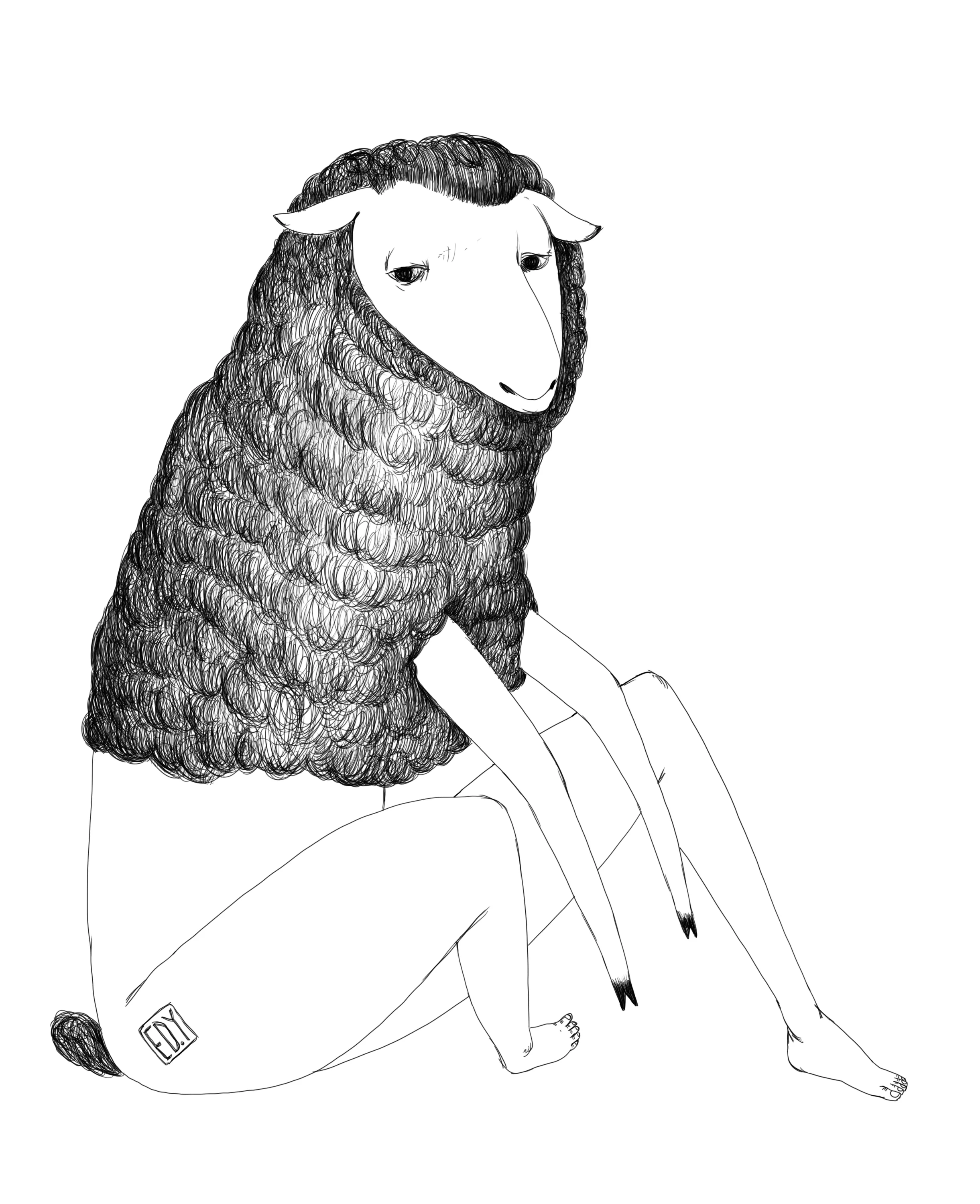 blacksheep01_edy.JPG