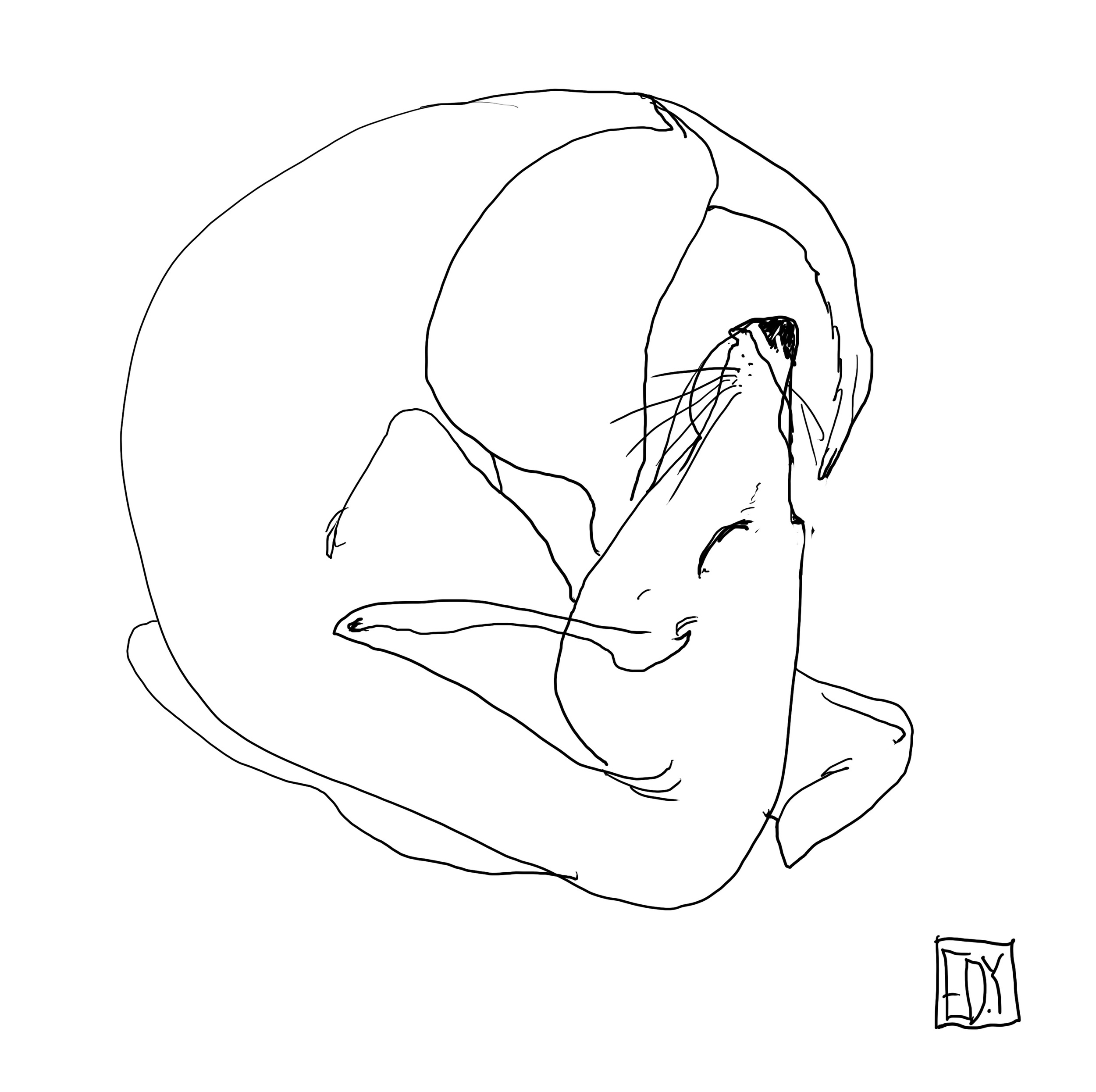 Berger02_Edy.jpg