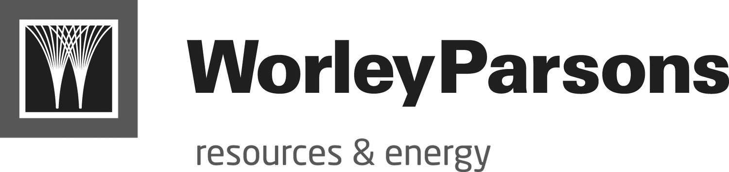 I have had more positive feedback about this session than anything we have done in the last 2 years. People have been quoting “bacons wars” and “no triangles” at me all day. Very inspirational.   Brad Shaw, WorleyParsons Services Ltd