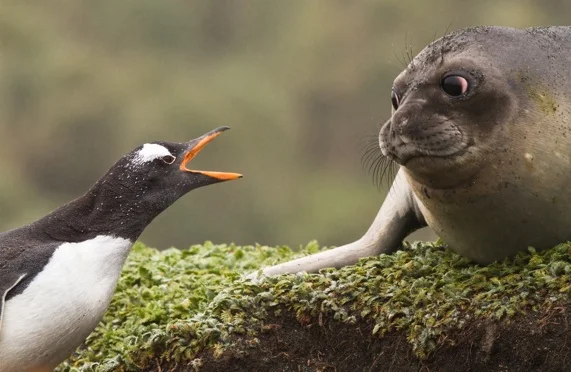 You can become an expert at the difficult!