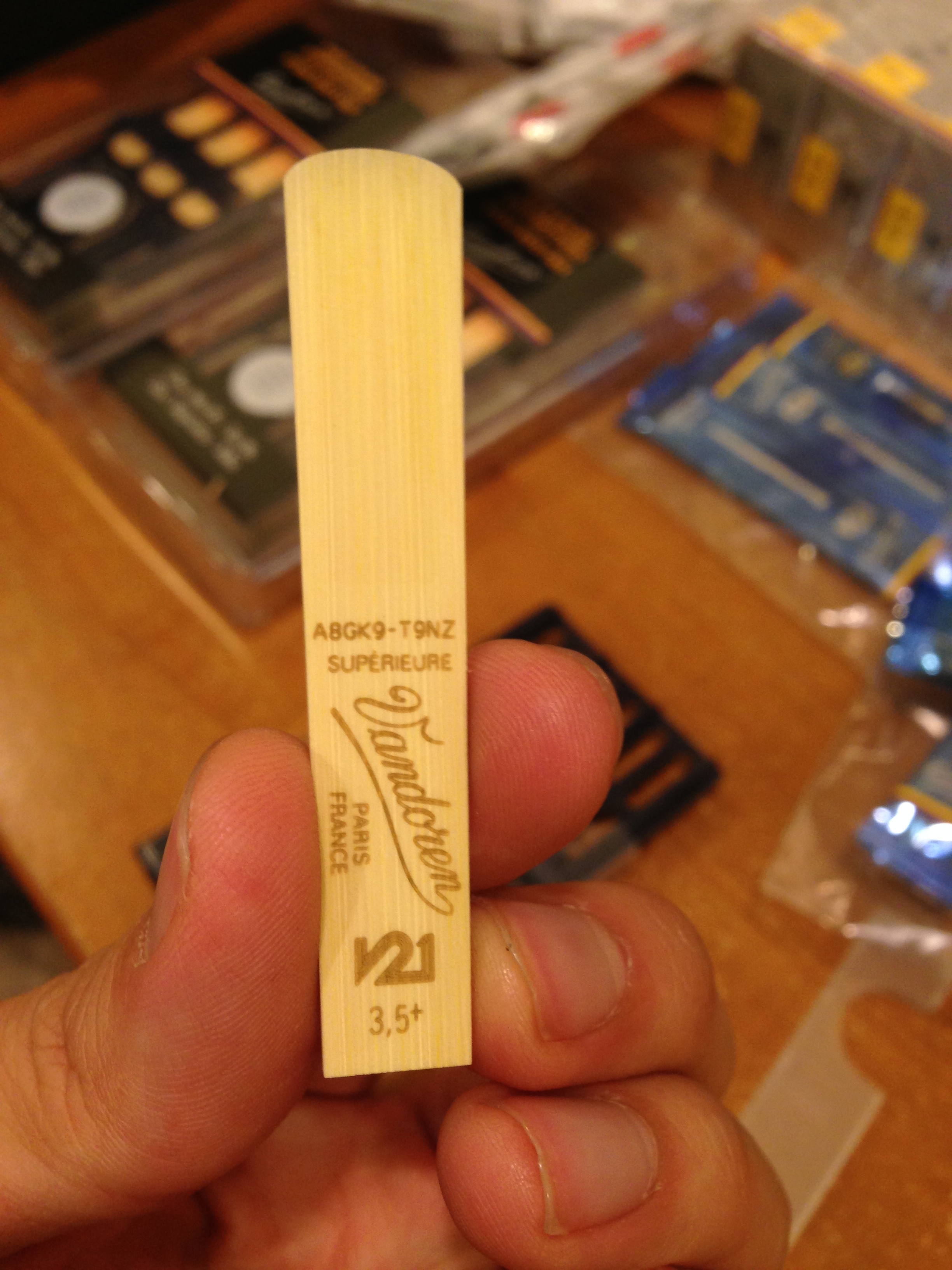V21 Back Side