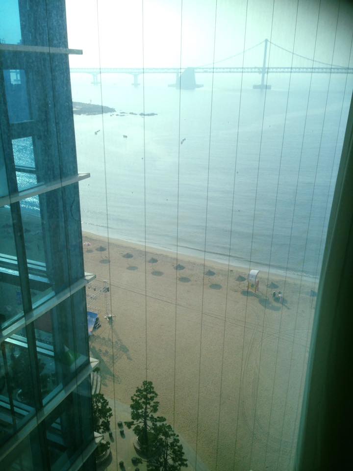 A refreshing view from my hotel room