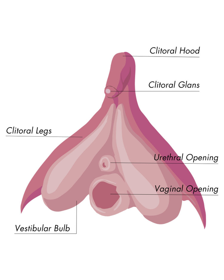 The Art of Fingering — Juliet Allen | Sexologist