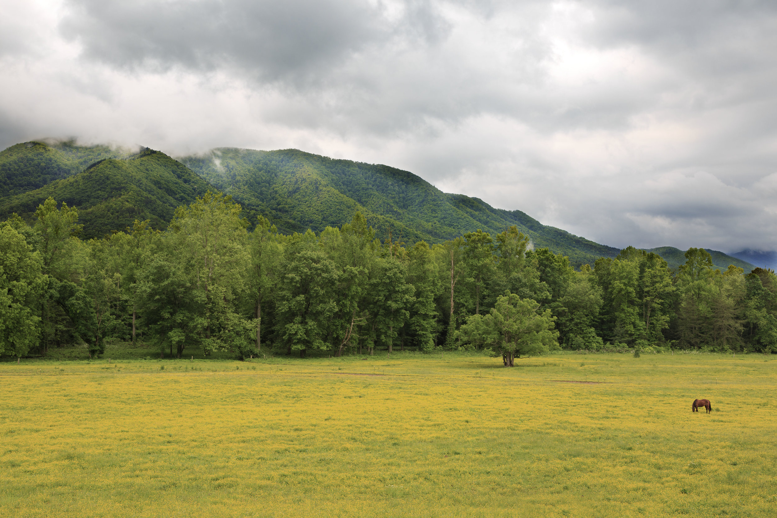 Cades Cove