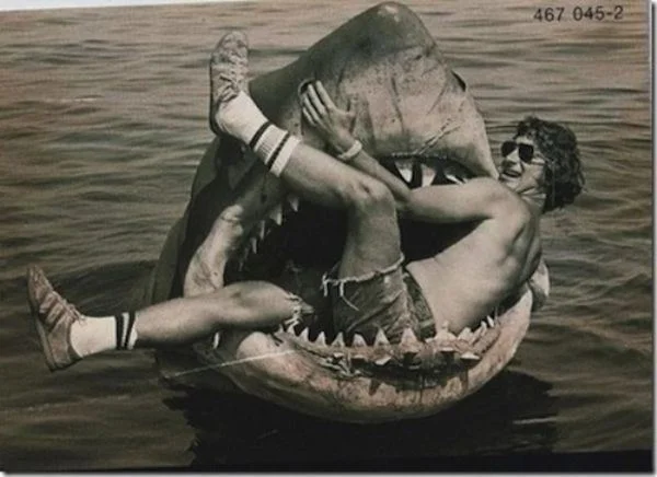 Jaws