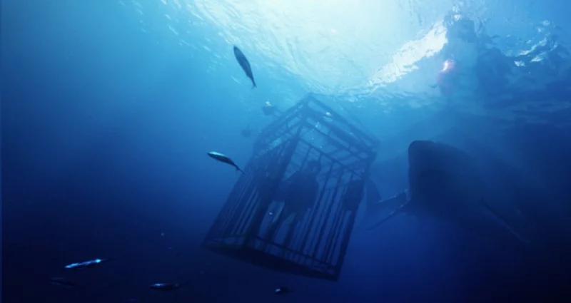 76 | 47 Meters Down