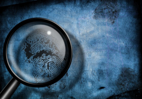 Who Killed Hazel Drew?: The True Crime Story That Inspired Twin Peaks