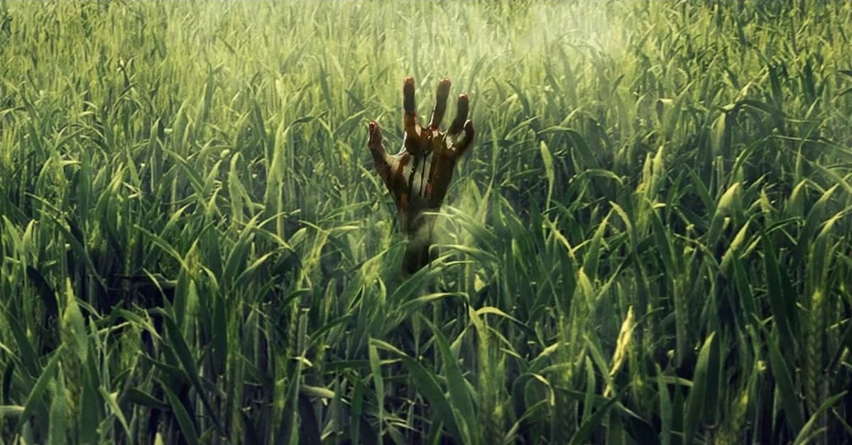 136 | In the Tall Grass