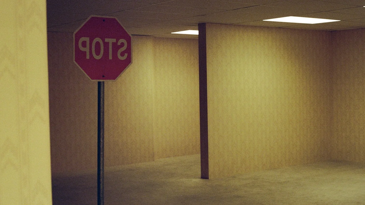 304 | Backrooms episode artwork