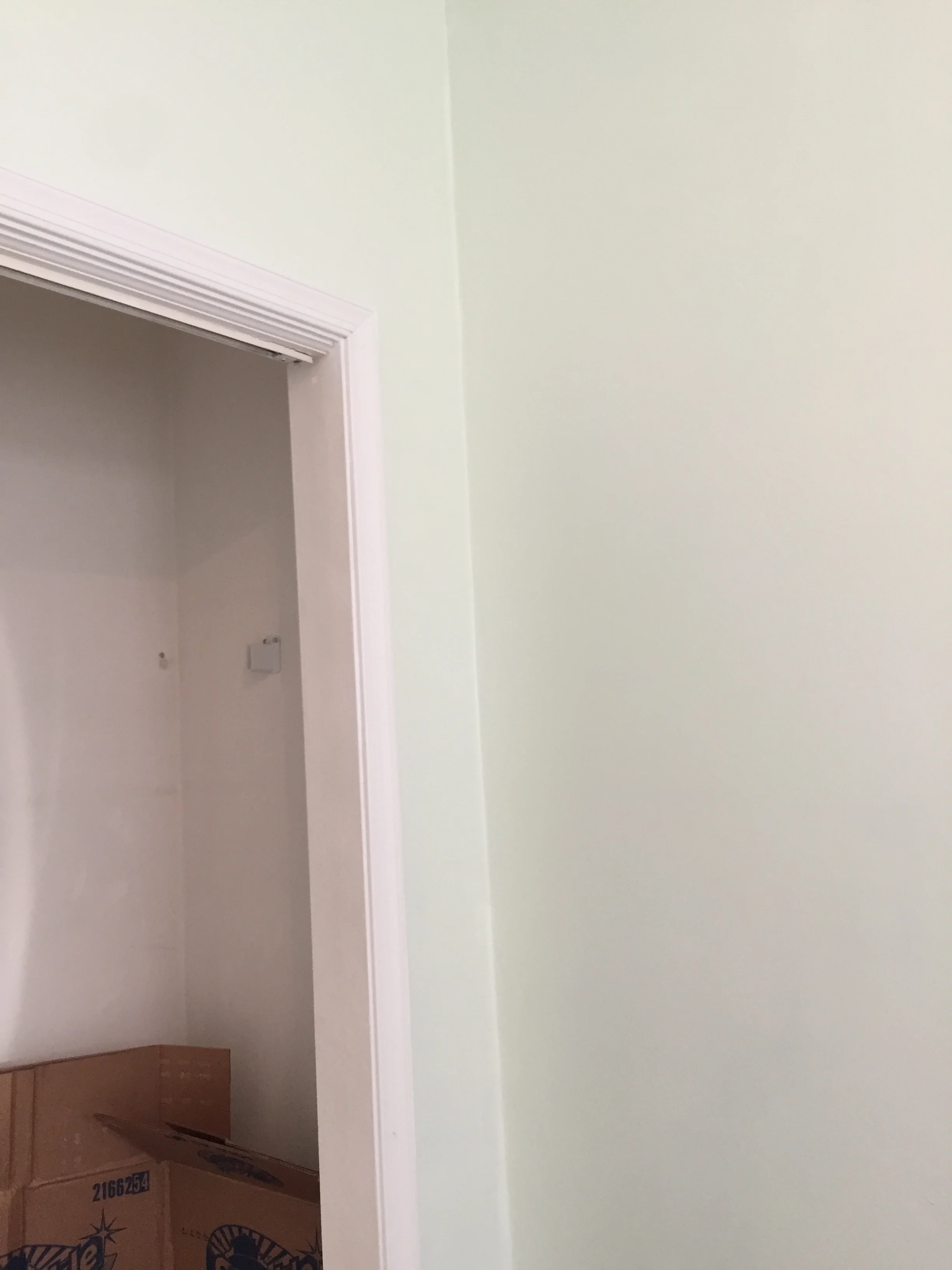 Hello, soft light green!