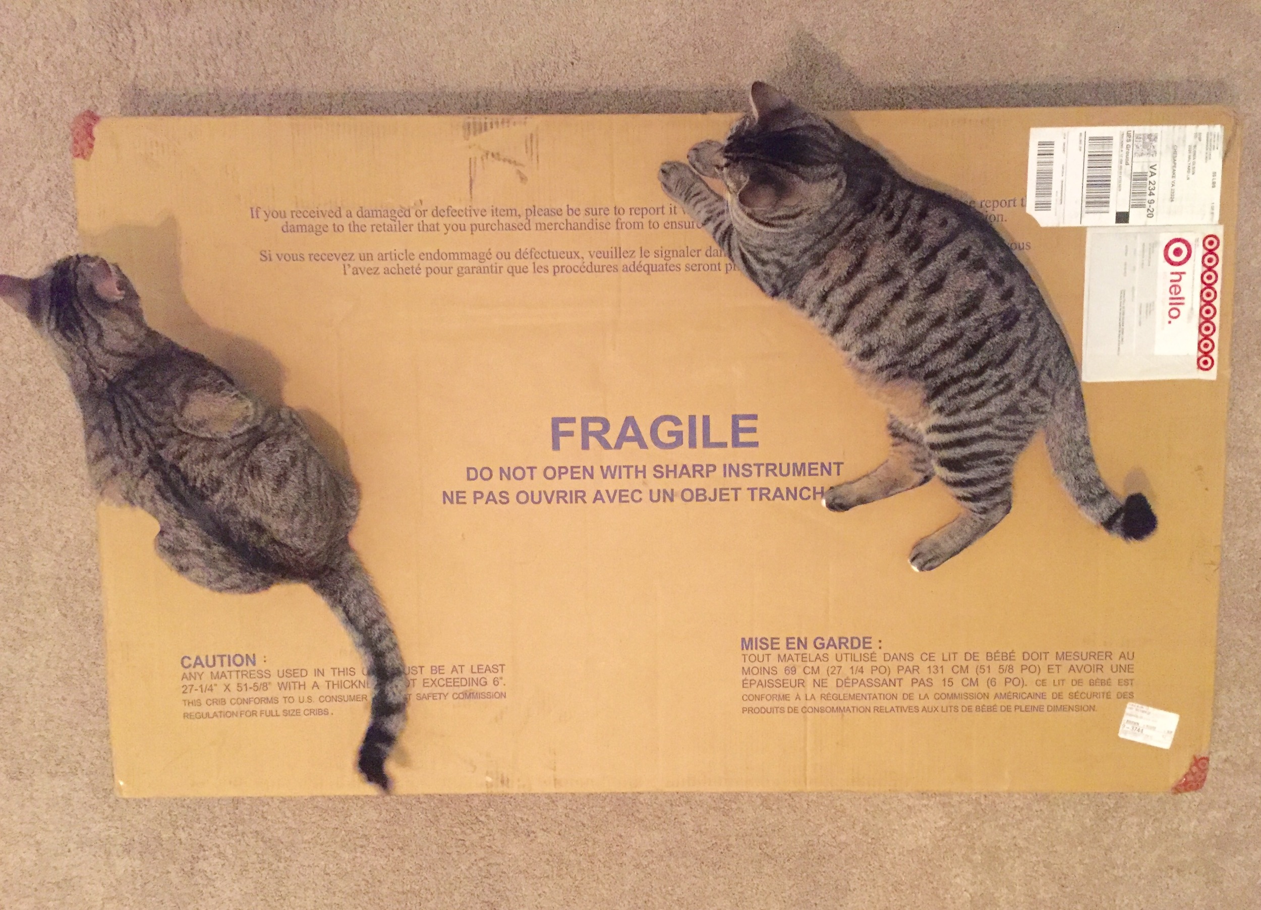 They must inspect everything, including this crib box.