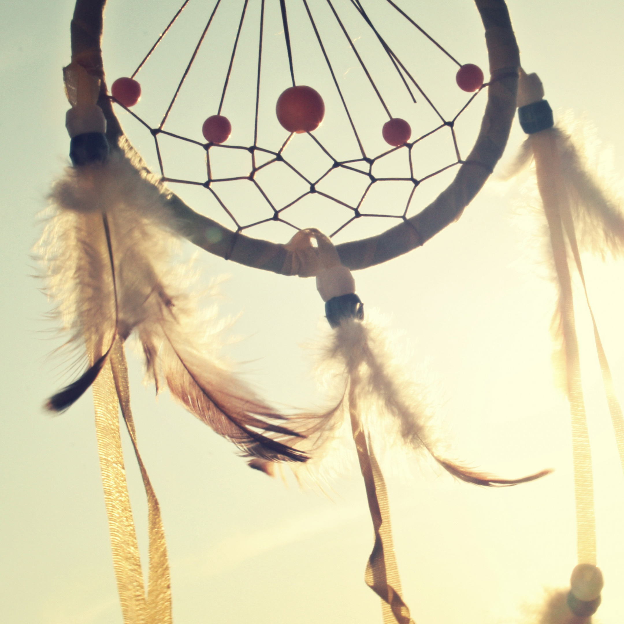 I believe in the tenacity and beauty of all living things to love and grow us gracefully.