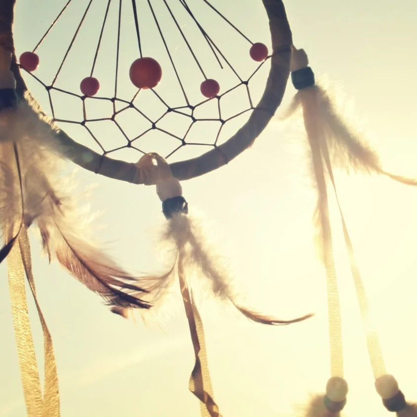 Collecting Treasures of the Body & Mind