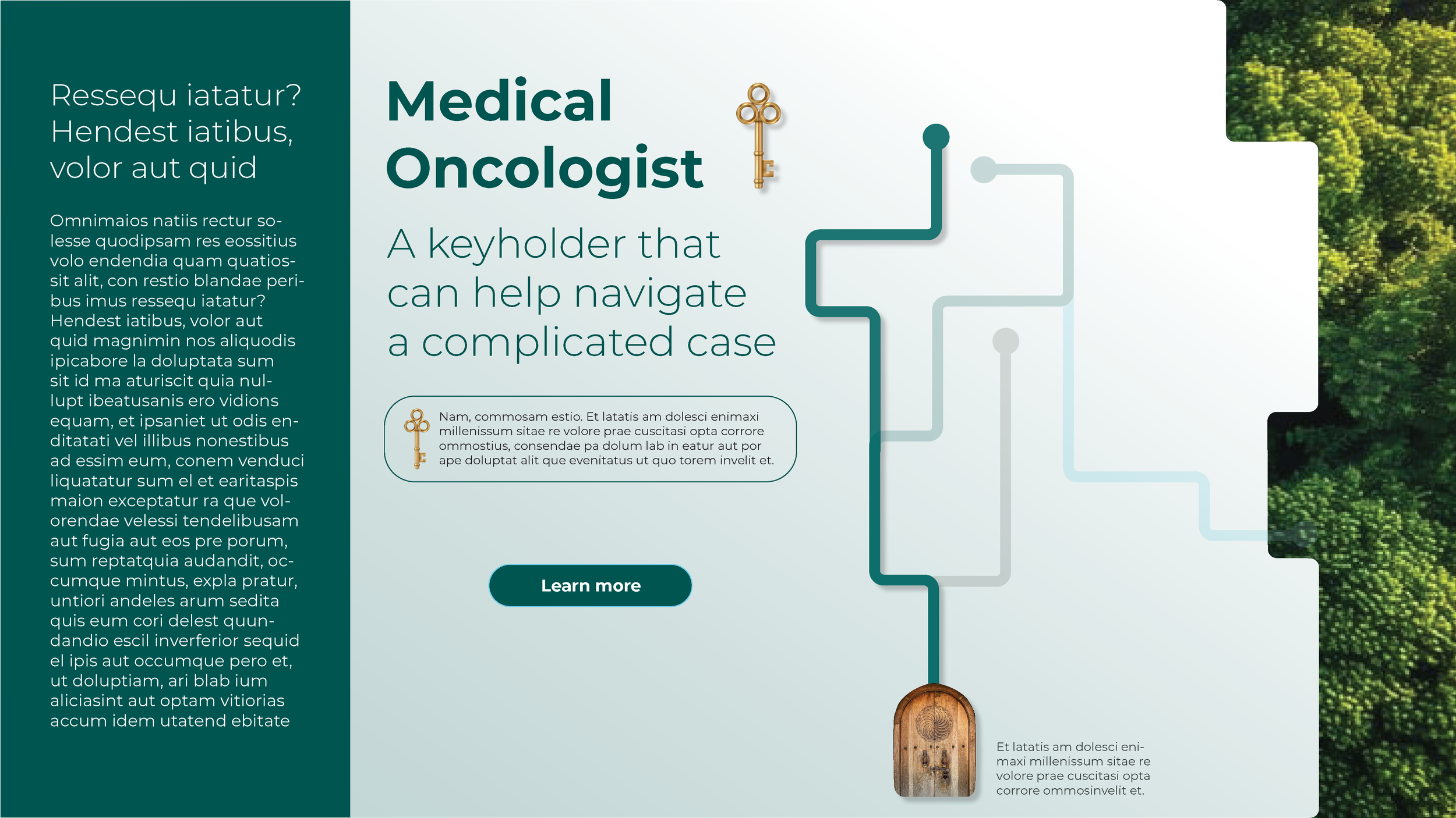 Concept for the Treatment of NMSC-Medical Oncologists Page