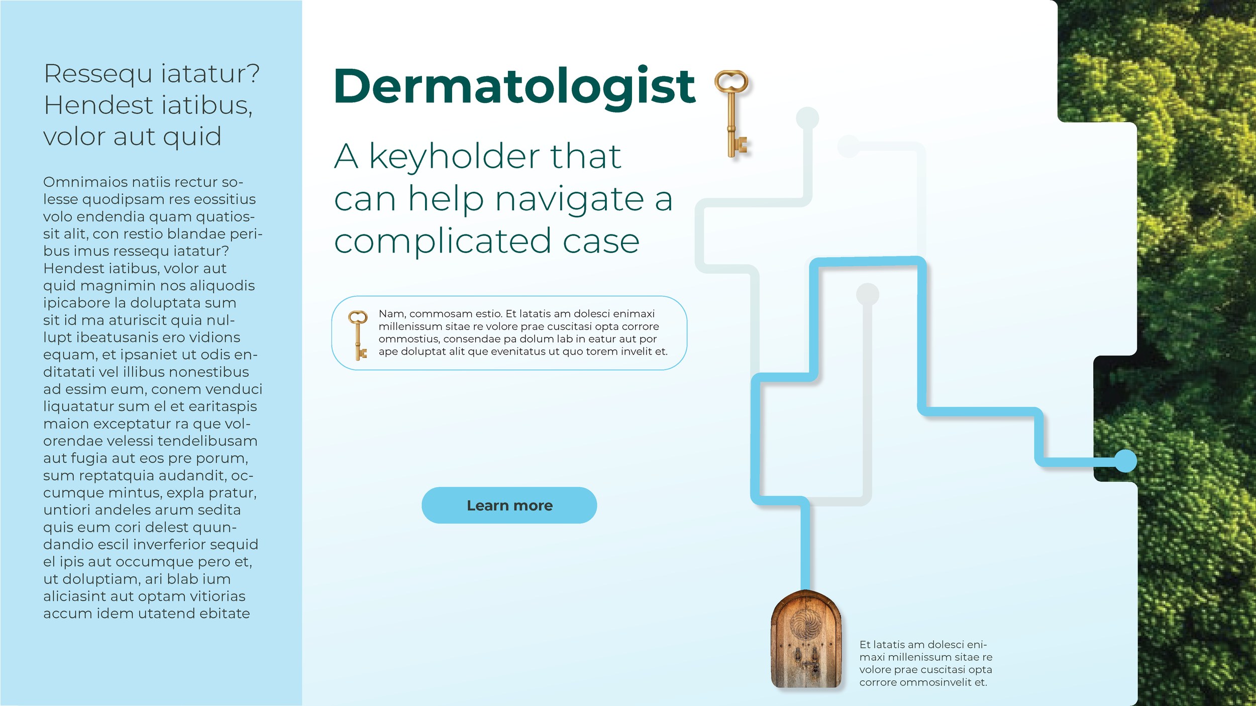 Concept for the Treatment of NMSC- Dermatologists Page