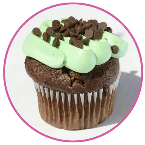 Mint Chocolate Chip