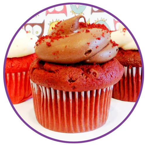 OO/ Cocoa Velvet