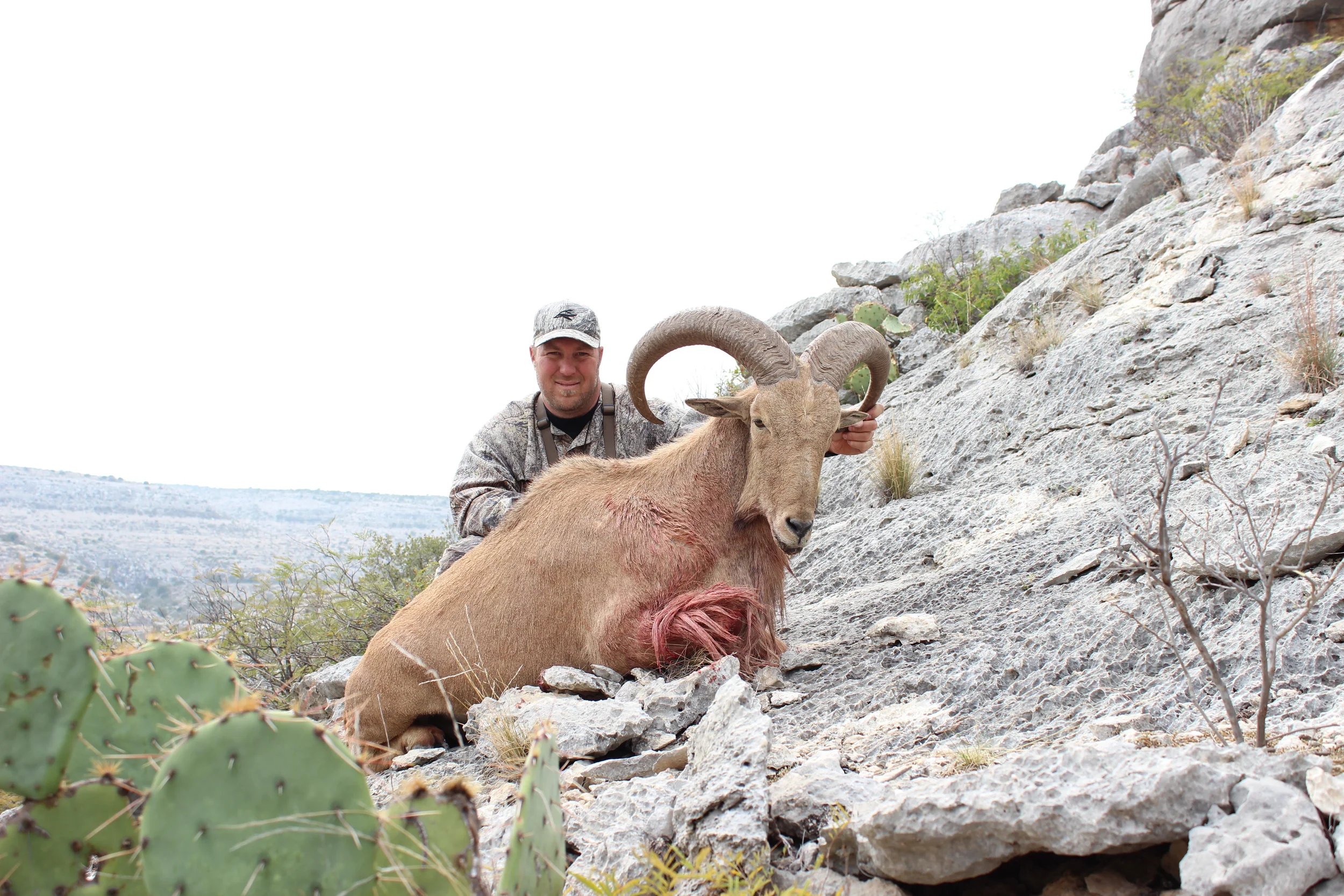 Aoudad rock w view 6 mb.JPG