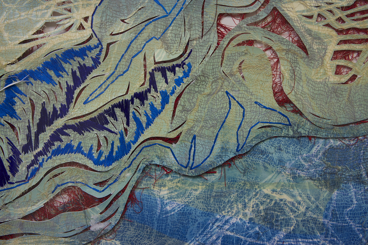 waters II, detail, 18" x 24", redeemed print, 2009