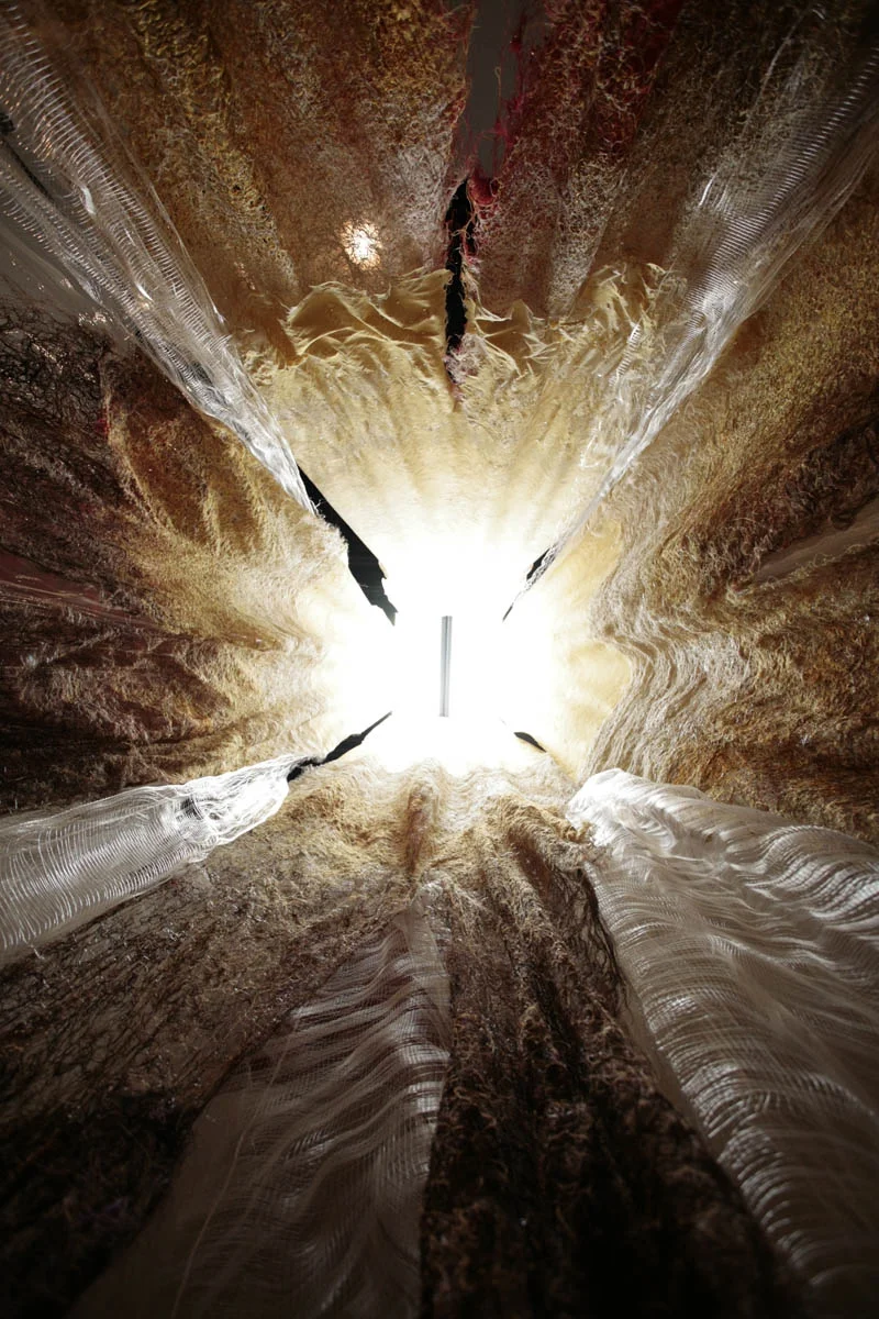 whispers of splendor | workings of light