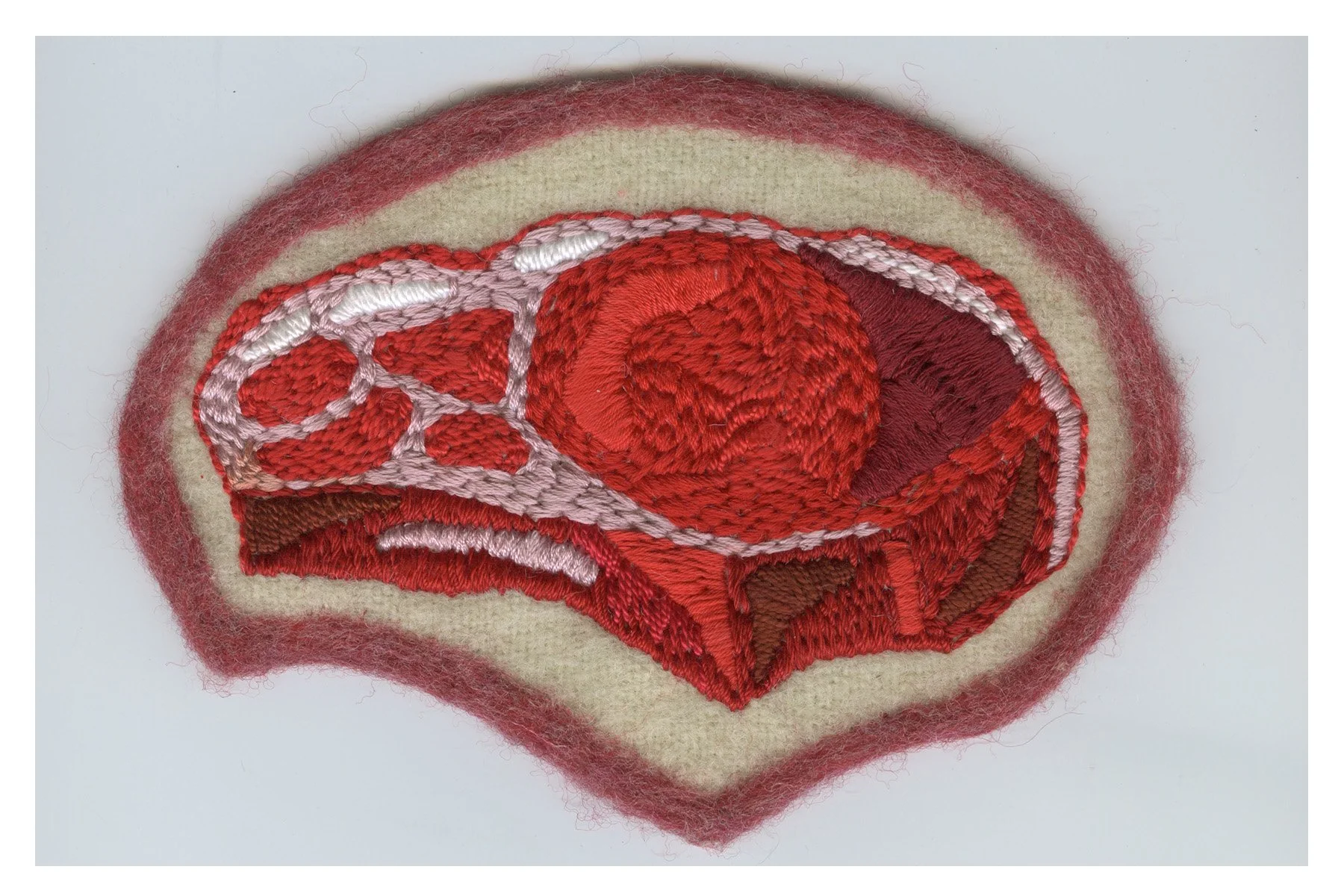 Nightbitch 4x6-front Motherhood.jpg