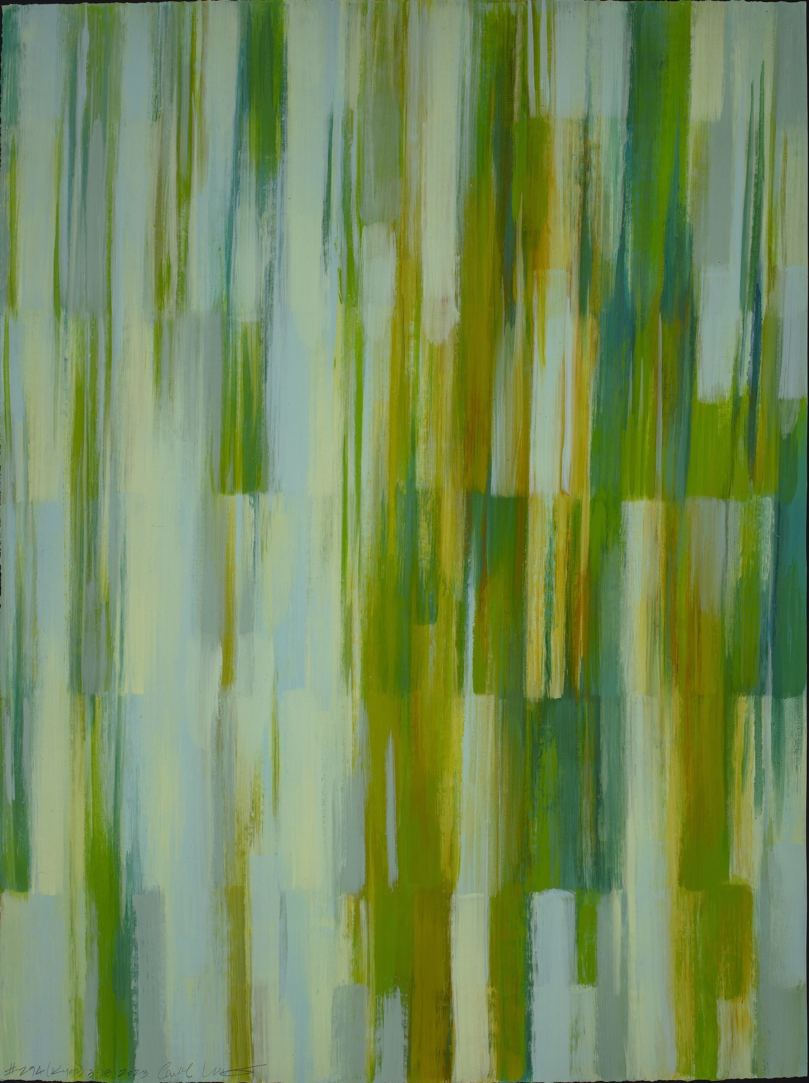 #294 (Kyoto) 45 x 34