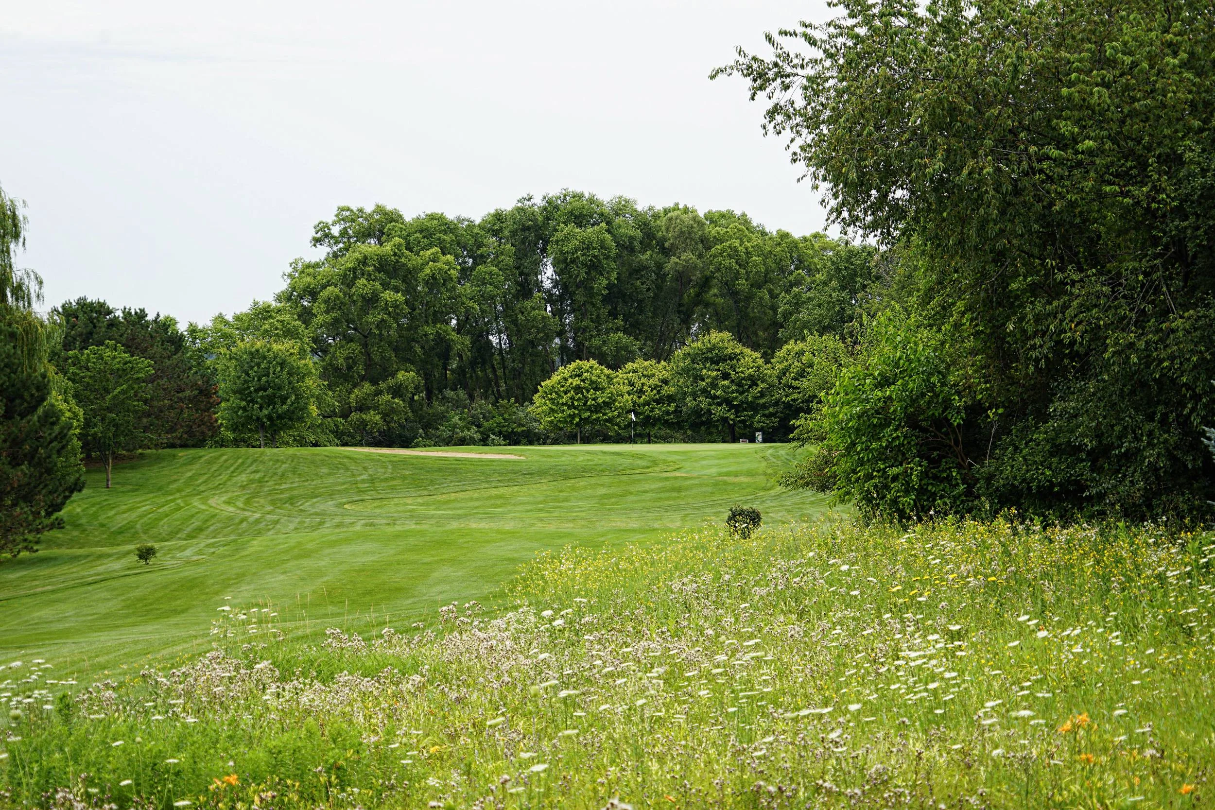 r_DSC3364_pe.jpg