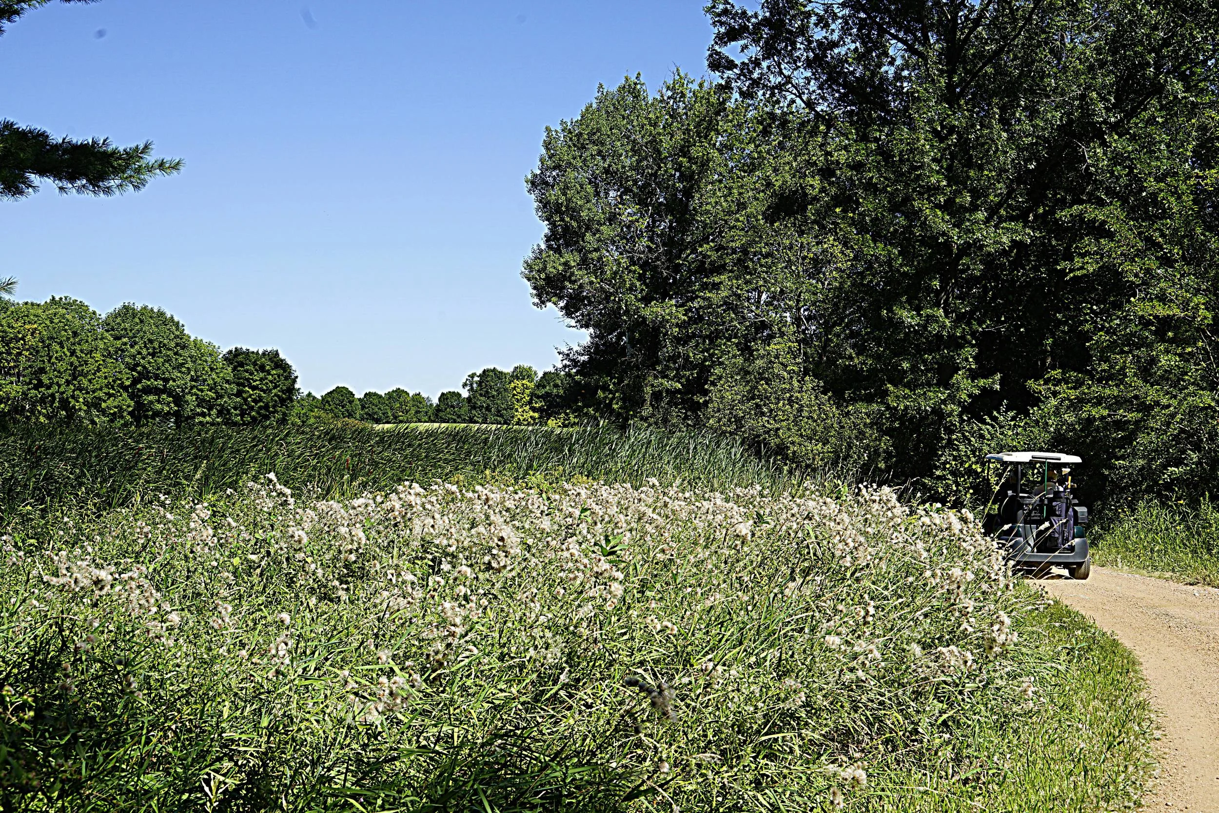 r_DSC3637_pe.jpg