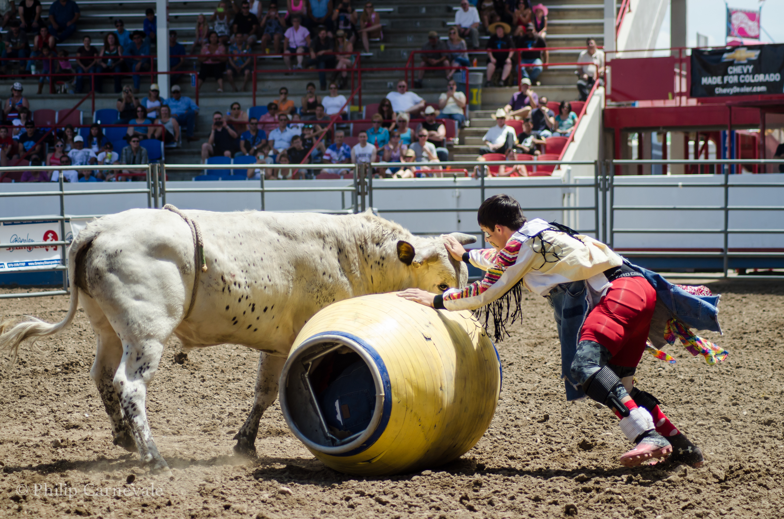 A bullfighter stands in the arena at age 14 against a 1200 lb. bull.