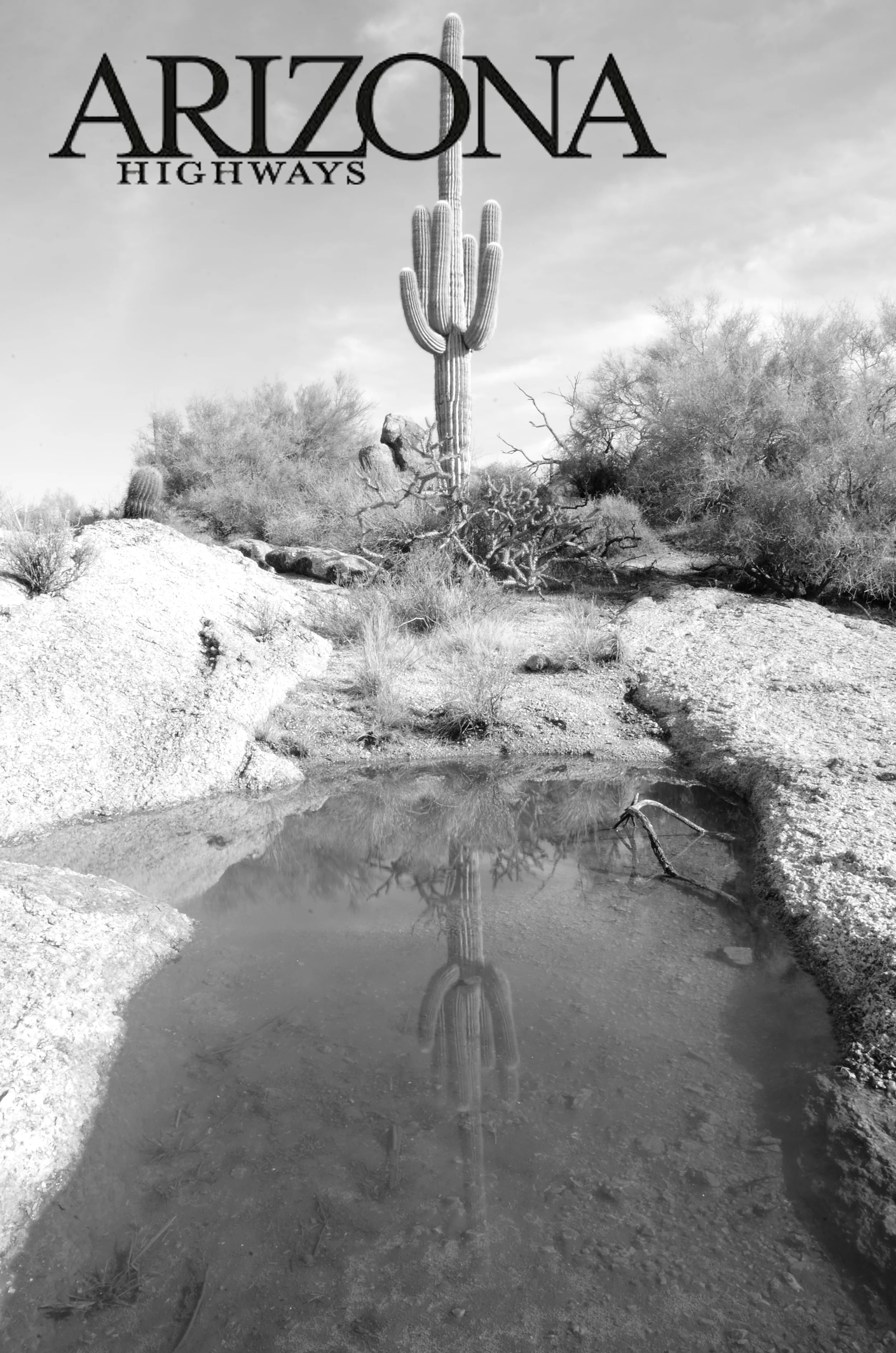 AZHighway.JPG