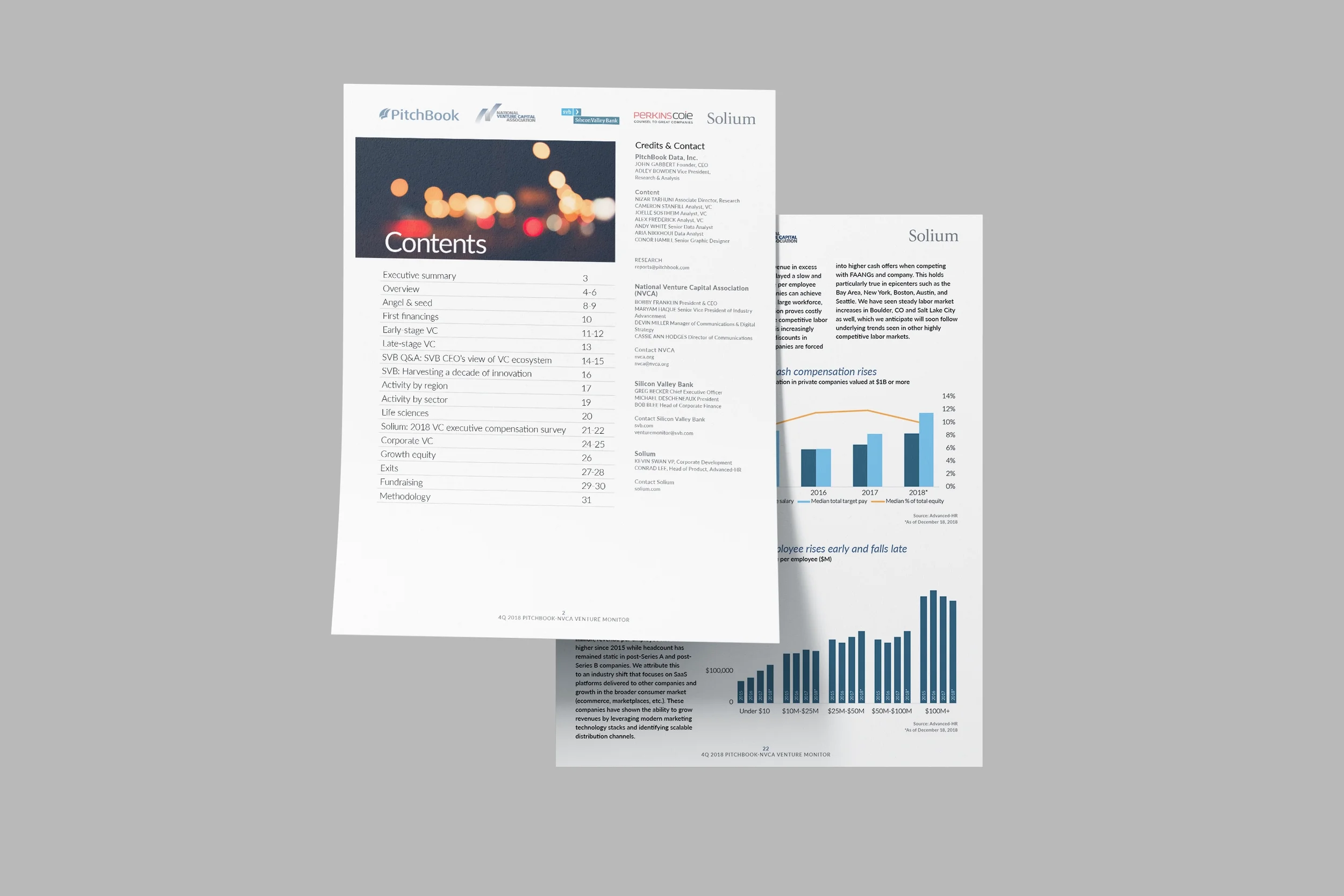 Two pages of a business report with charts and text on a gray background.