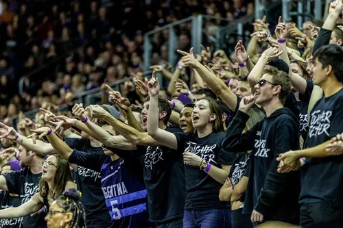 Crowd of sports fans cheering and pointing in a stadium.
