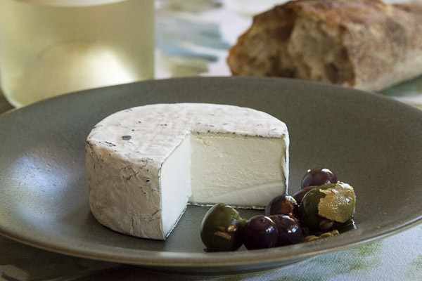 Planet+Cheese+-+Flora.jpeg
