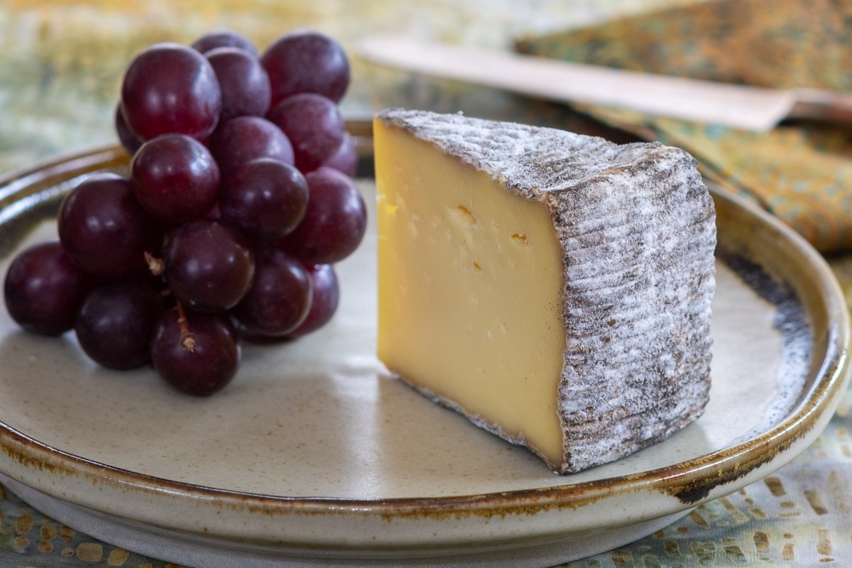 Swallowtail Tomme